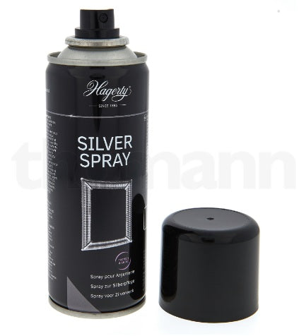 Hagerty, Putsmedel - Silver Spray